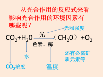 影響光合作用的環境因素.ppt