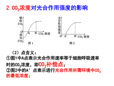 影響光合作用強度的環境因素課件.ppt