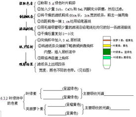 高考生物學(xué)知識(shí)要點(diǎn)的自我梳理 二