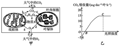 小麥植株進行光合作用和呼吸作用的最適溫度分別為25℃和30℃。下圖甲為小麥葉肉細胞中的部分代謝示意圖;圖乙是在CO2濃度一定、環境溫度為25℃、不同光照強度條件