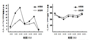 為了研究葉肉細(xì)胞間隙的c02濃度對(duì)光合作用的影響.研究人員將若干新鮮的某種植物葉片置于適宜的光照和溫度條件下的實(shí)驗(yàn)裝置中.測(cè)定在不同的細(xì)胞間隙c02濃度條件下葉肉細(xì)胞中