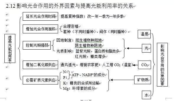 詳解光合作用，輕松掌握高中生物知識(shí)點(diǎn)