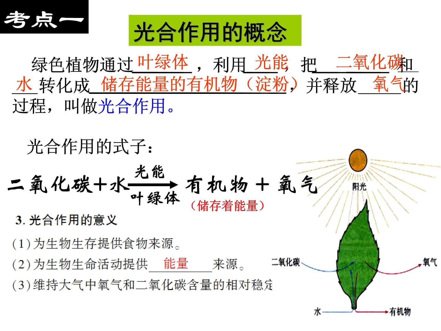 綠色植物的生命引擎 光合作用與呼吸作用