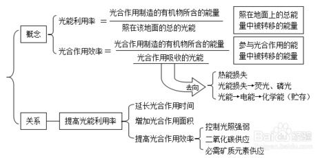 高中生物巧妙復習之光合作用歸納