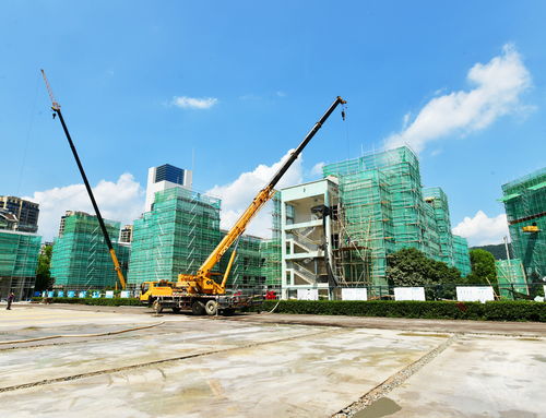 明珠小學改擴建工程有序推進，景觀工程為校園增添新氣象